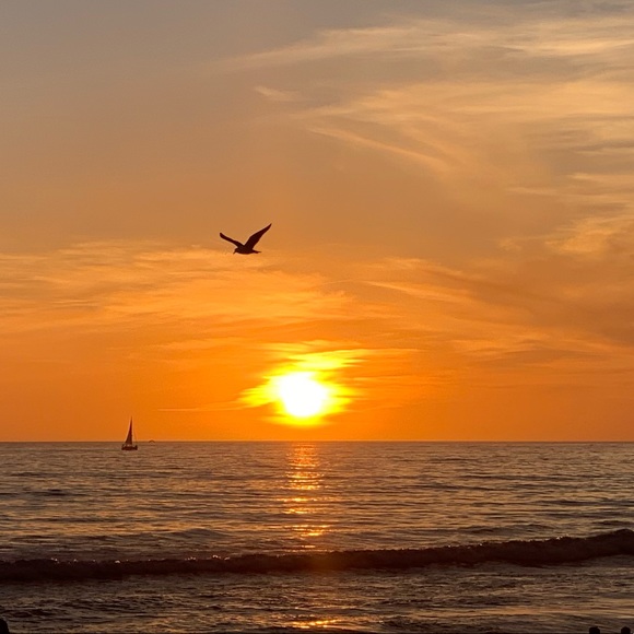 Meet your Posher, Erika - Picture 1 of 1